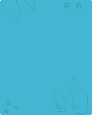 bg item happymealpet