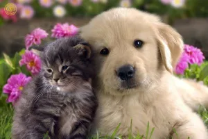 Cẩm nang bảo vệ boss mỗi ngày