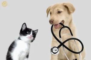 Cẩm nang bảo vệ boss mỗi ngày