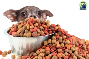 Thức ăn hạt cho chó